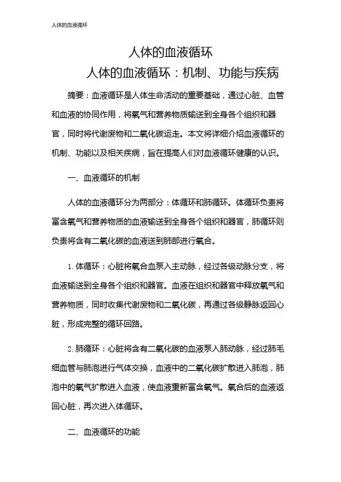 人体的血液循环