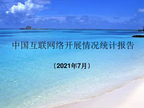 中国互联网络发展ppt课件