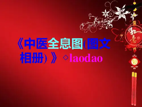 《中医全息图(图文相册)》
