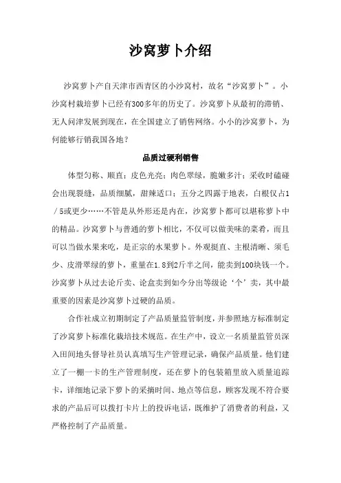 沙窝萝卜介绍