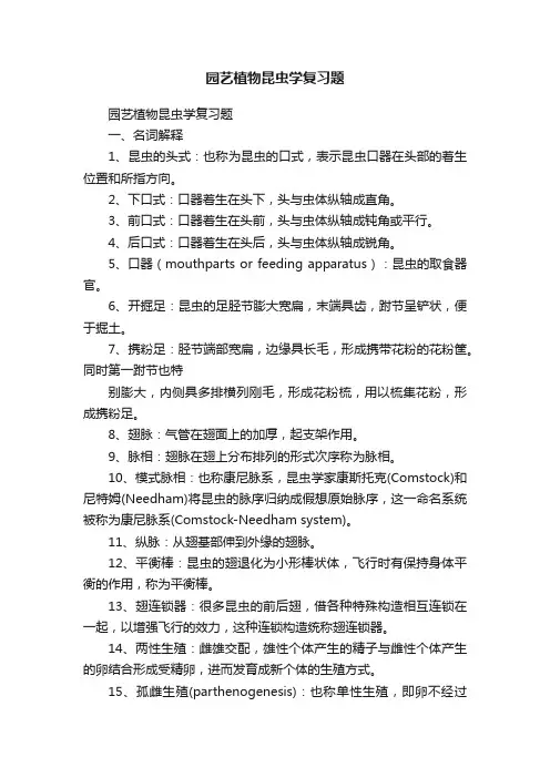 园艺植物昆虫学复习题