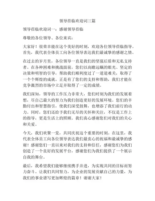领导莅临欢迎词三篇