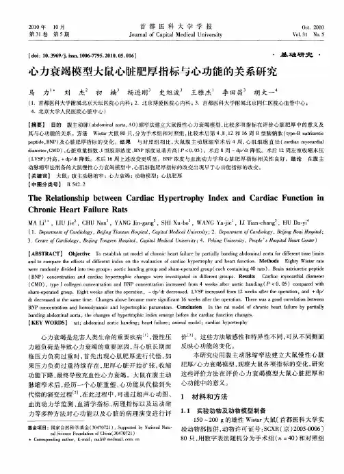 心力衰竭模型大鼠心脏肥厚指标与心功能的关系研究
