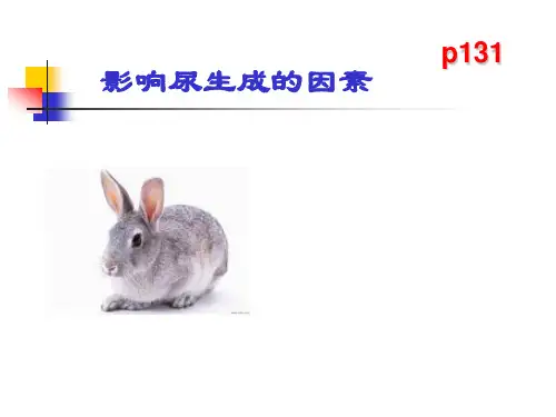 机能实验学：影响尿生成的因素