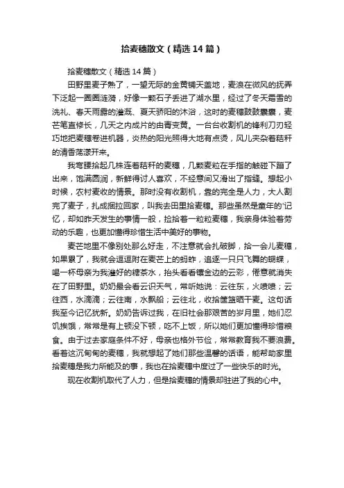 拾麦穗散文（精选14篇）