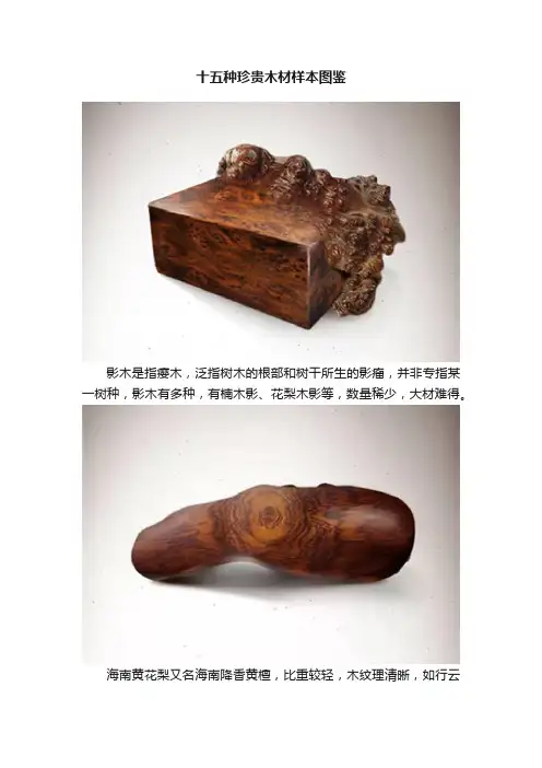 十五种珍贵木材样本图鉴