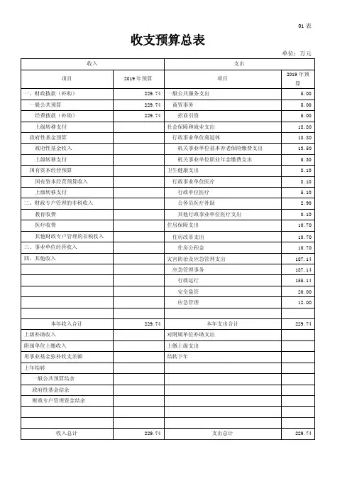 收支预算总表