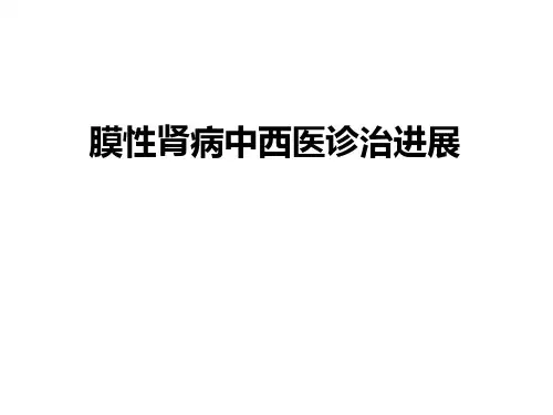 膜性肾病的中西医诊治进展