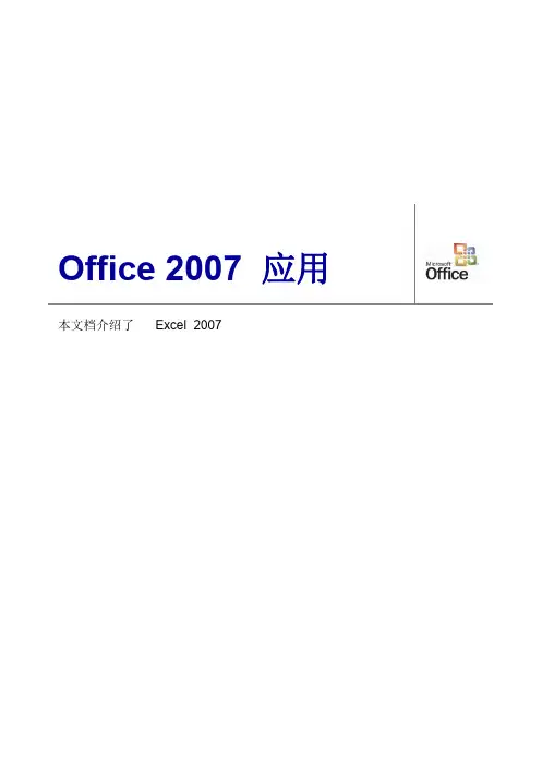 Office2007 EXCEL高级应用技巧