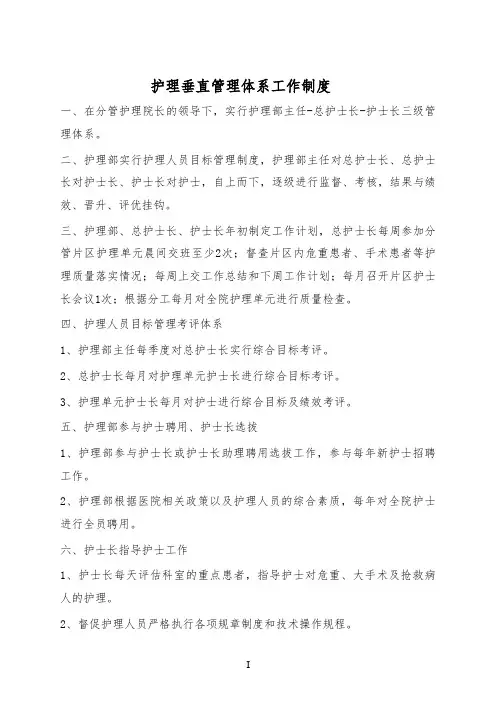 护理垂直管理体系工作制度