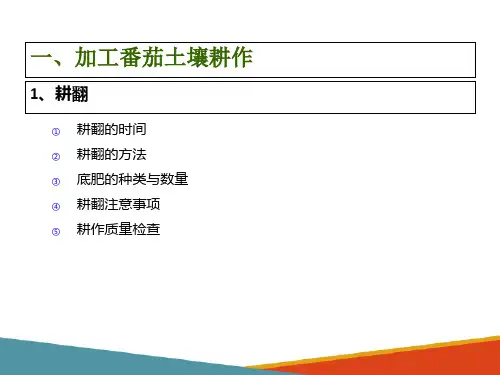 加工番茄播种(定植)前土地准备—加工番茄土壤耕作及田间作业措施