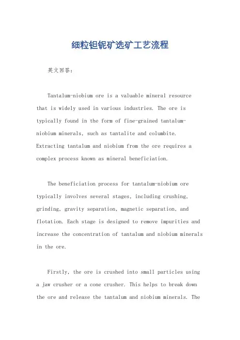 细粒钽铌矿选矿工艺流程