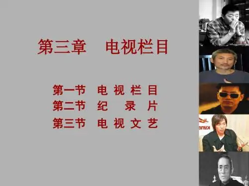 电视栏目分类