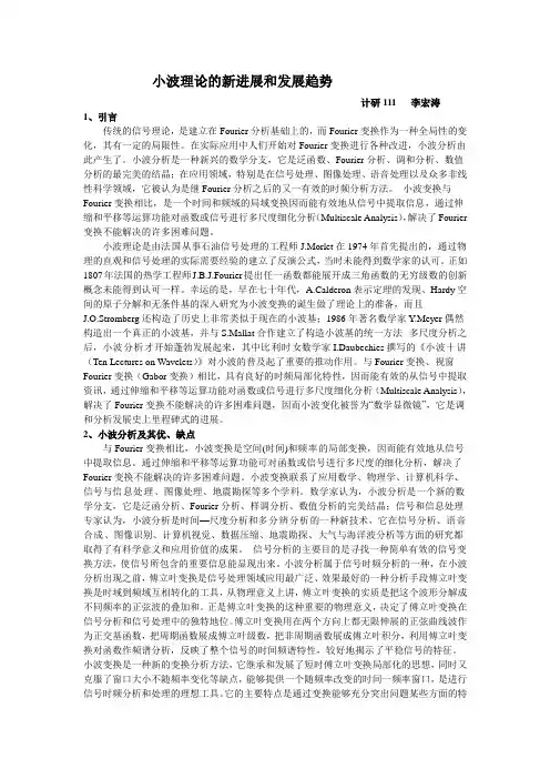 小波理论的新进展和发展趋势