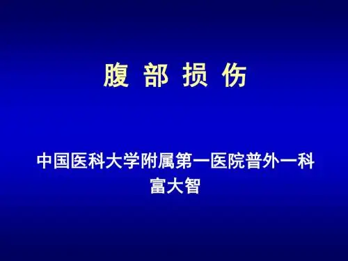 腹部损伤幻灯PPT专业课件
