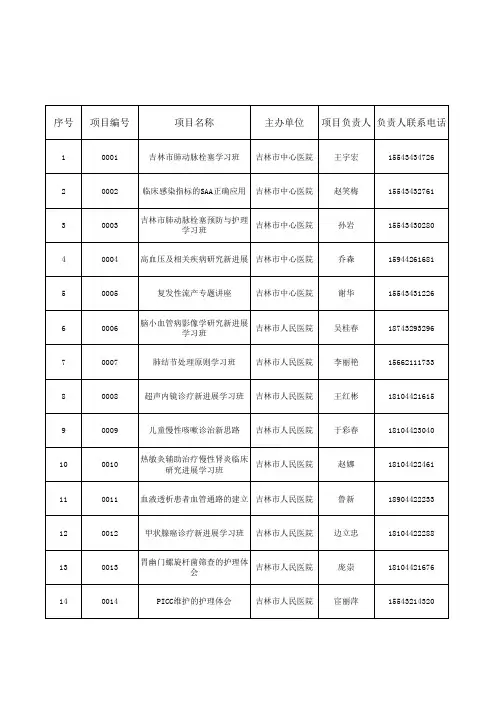 级项目一览表