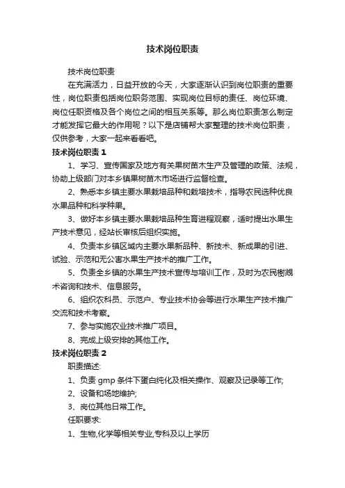 技术岗位职责