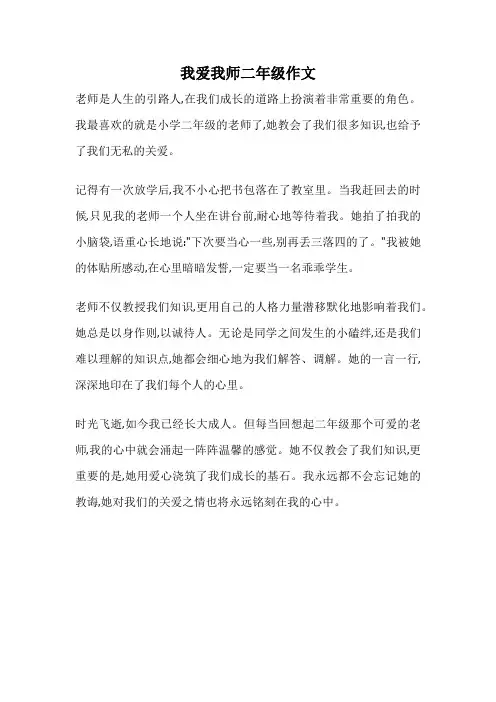 我爱我师二年级作文