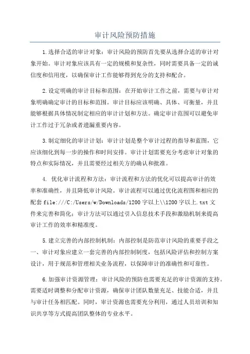 审计风险预防措施