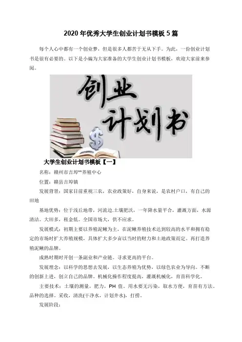 2020年优秀大学生创业计划书模板5篇