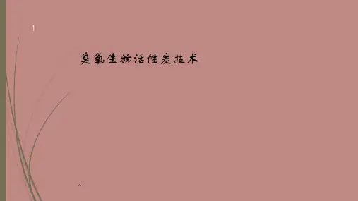 臭氧生物活性炭技术11