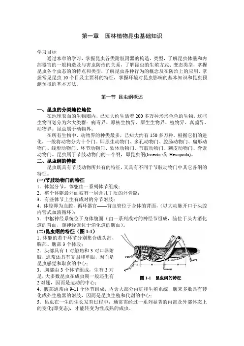 园林植物昆虫基础知识