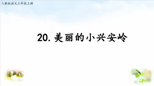 部编版ppt-《美丽的小兴安岭》公开课课件1