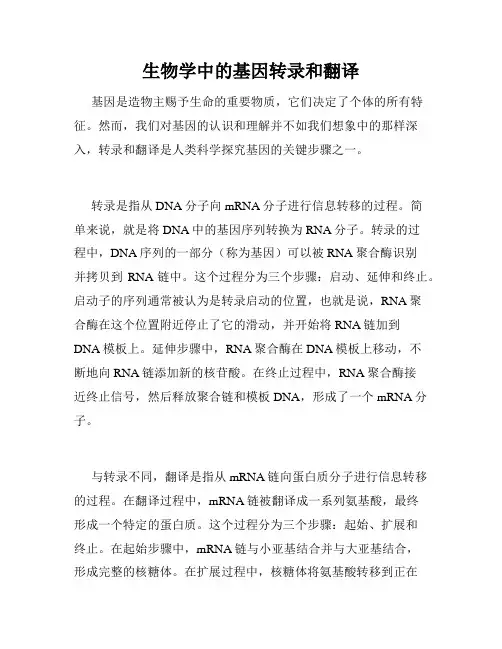 生物学中的基因转录和翻译