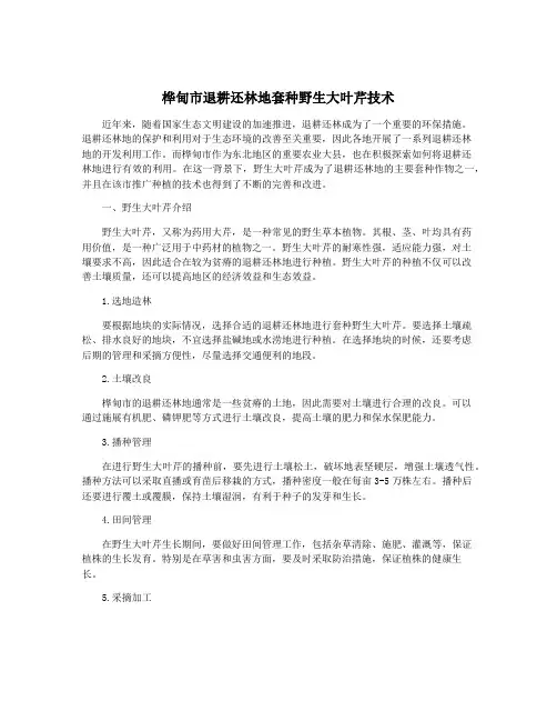 桦甸市退耕还林地套种野生大叶芹技术