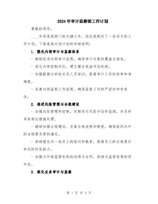 2024年审计监察部工作计划