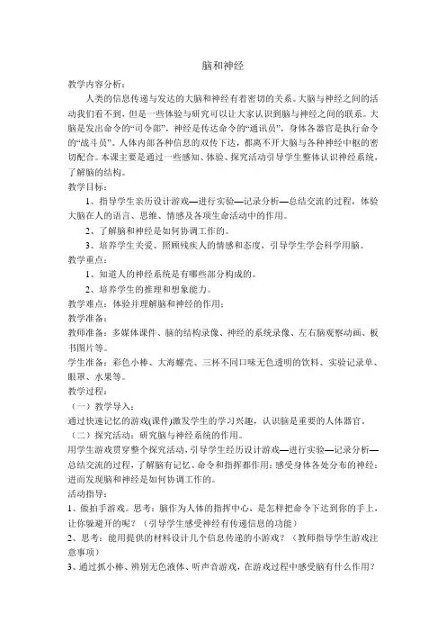 脑和神经教学设计