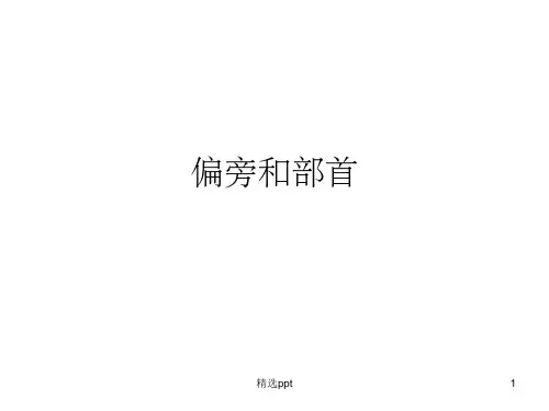 偏旁和部首的区别PPT课件