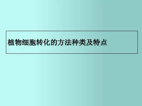 植物细胞转基因技术幻灯片PPT