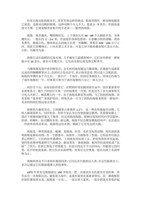 海豚的简单介绍