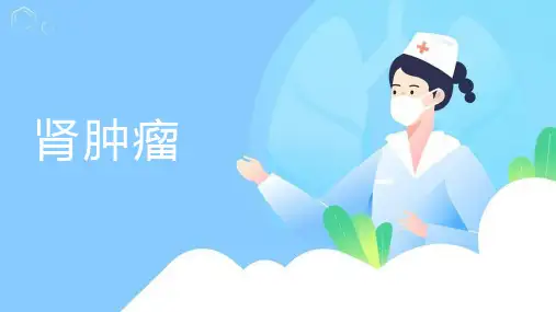 肾肿瘤PPT
