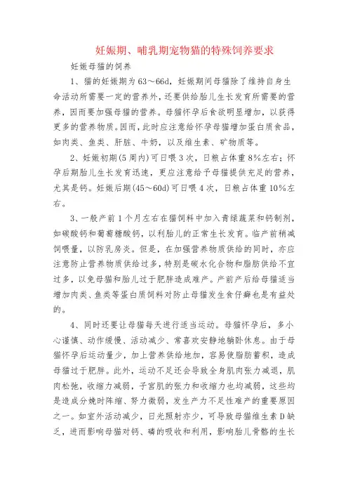 妊娠期、哺乳期宠物猫的特殊饲养要求