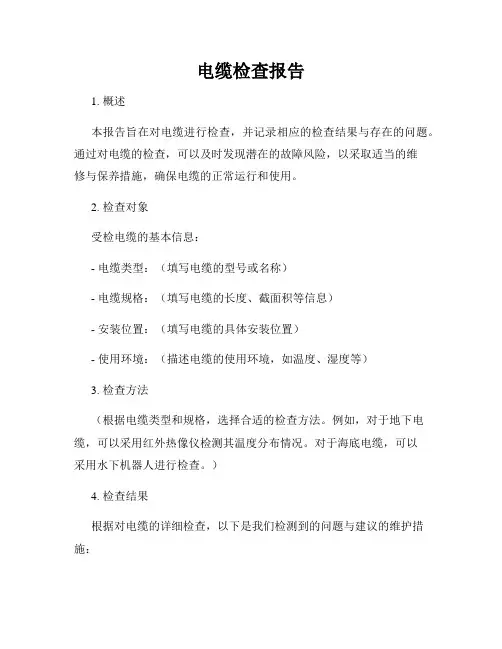 电缆检查报告
