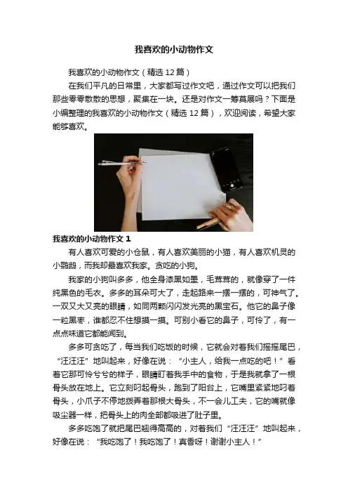 我喜欢的小动物作文