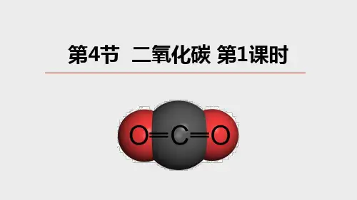 二氧化碳第1课时(PPT课件(初中科学)23张)
