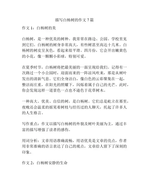 描写白杨树的作文7篇