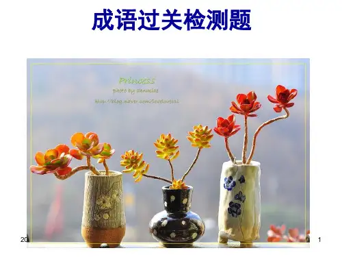 高考第一轮复习：成语过关检测题(答案详解)PPT教学课件