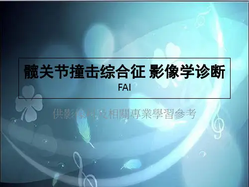 髋关节撞击综合征的影像学诊断(完整版)(2024版)