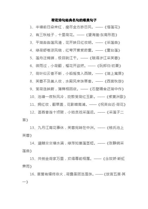 荷花诗句经典名句的唯美句子