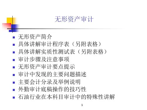无形资产审计讲义PPT