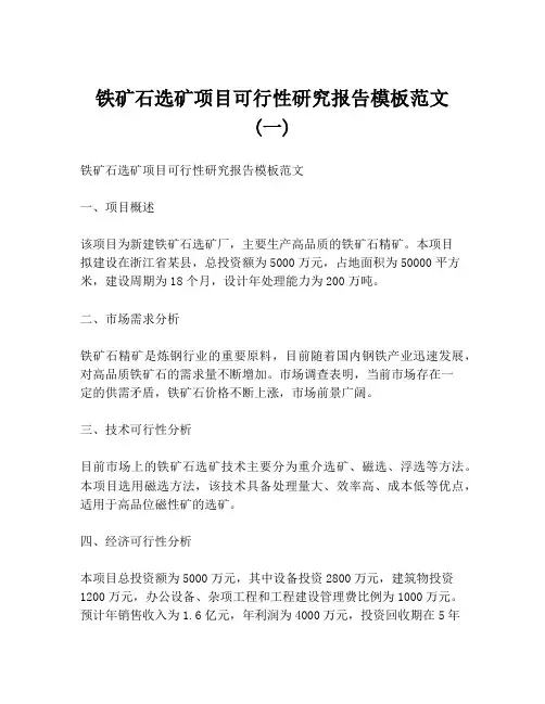 铁矿石选矿项目可行性研究报告模板范文 (一)