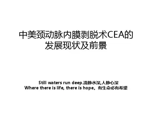 中美颈动脉内膜剥脱术CEA的发展现状及前景