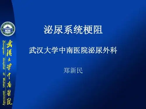 泌尿系梗阻
