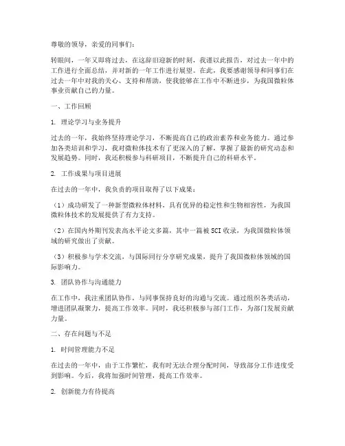 简约微粒体年终述职报告