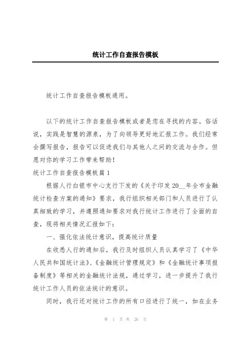 统计工作自查报告模板