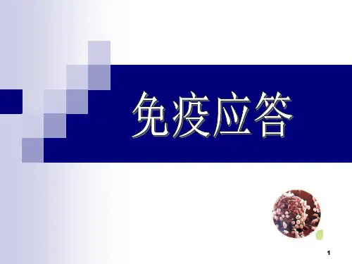 免疫应答 PPT课件